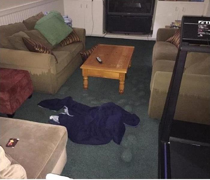 wet carpet, sofas, and a cloth on the carpet