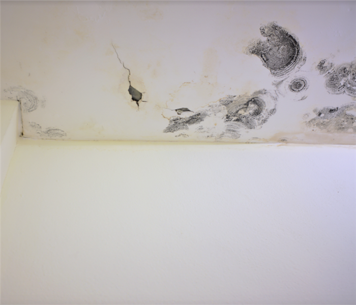 mold damage on the ceiling of a room in the corner