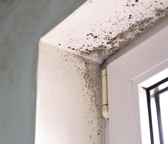 Mold on drywall next to a door frame