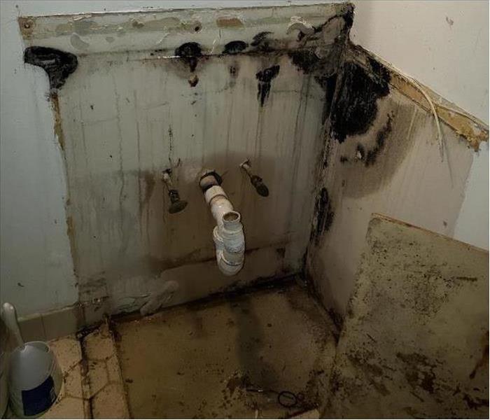 mold damaged bathroom
