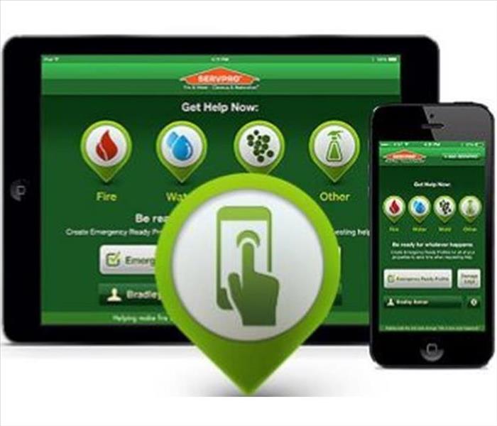 ERP green digital app on phone